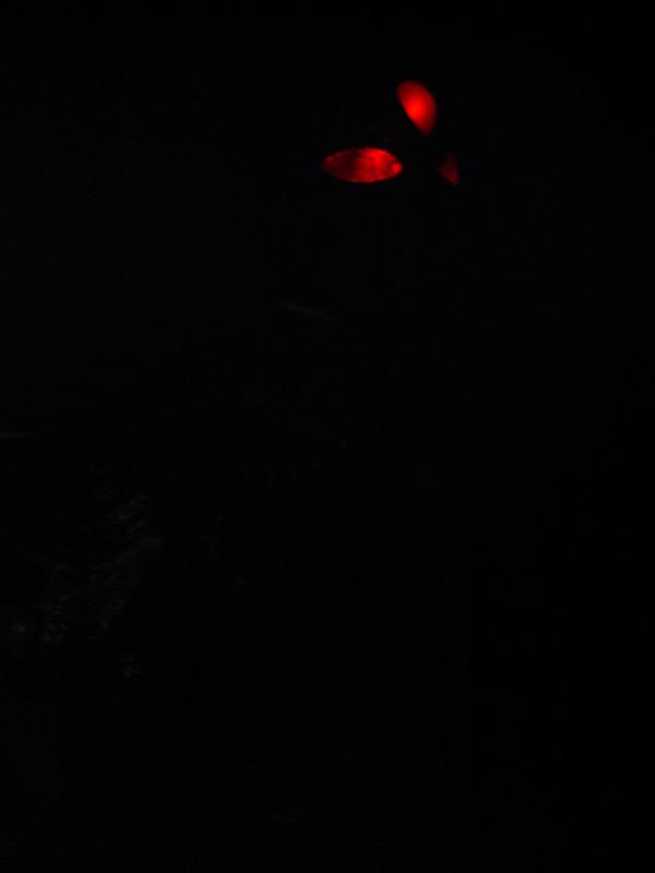 Image00084